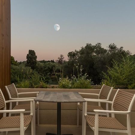 Lazaros Hotel Resort Tsilivi  Extérieur photo